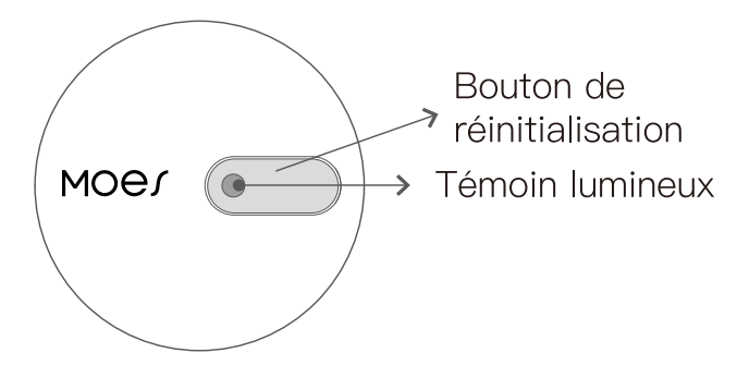 Présentation du détecteur de présence ZigBee Moes ZSS-LP-HP02-MS